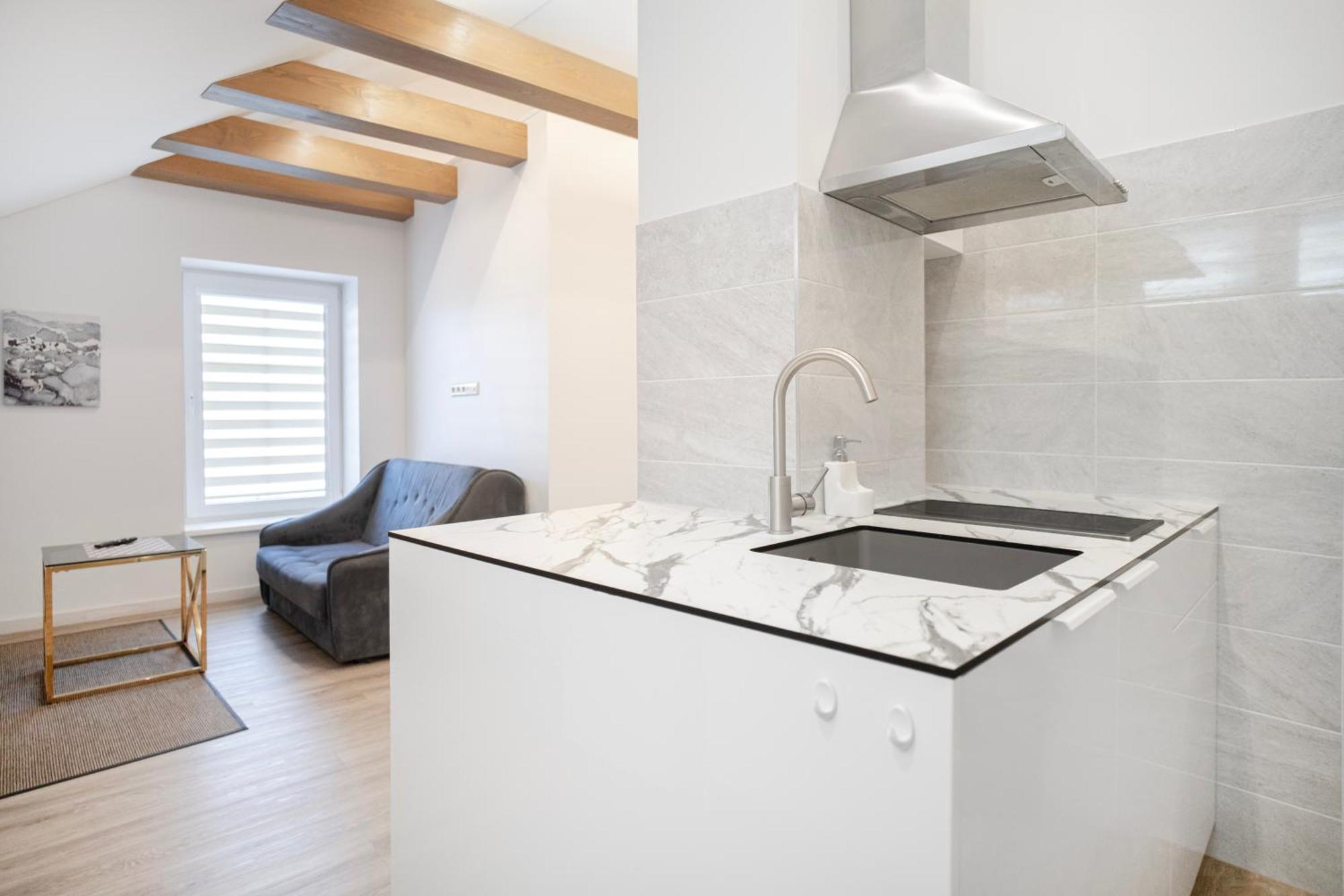 Kaunas Castle Apartments - Studio Kültér fotó