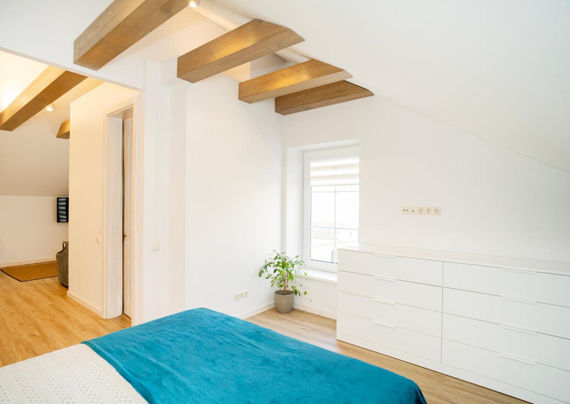 Kaunas Castle Apartments - Studio Kültér fotó