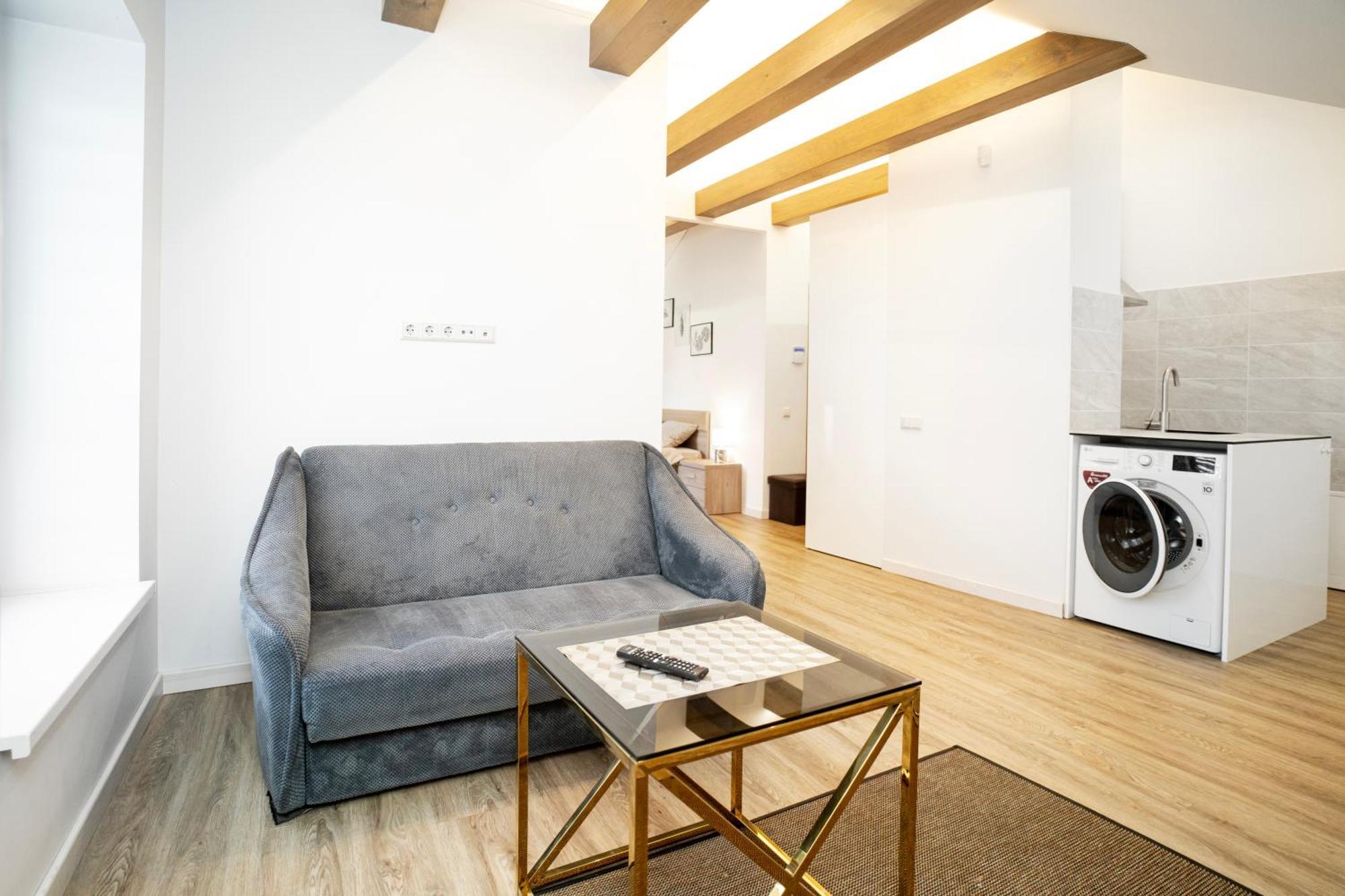 Kaunas Castle Apartments - Studio Kültér fotó