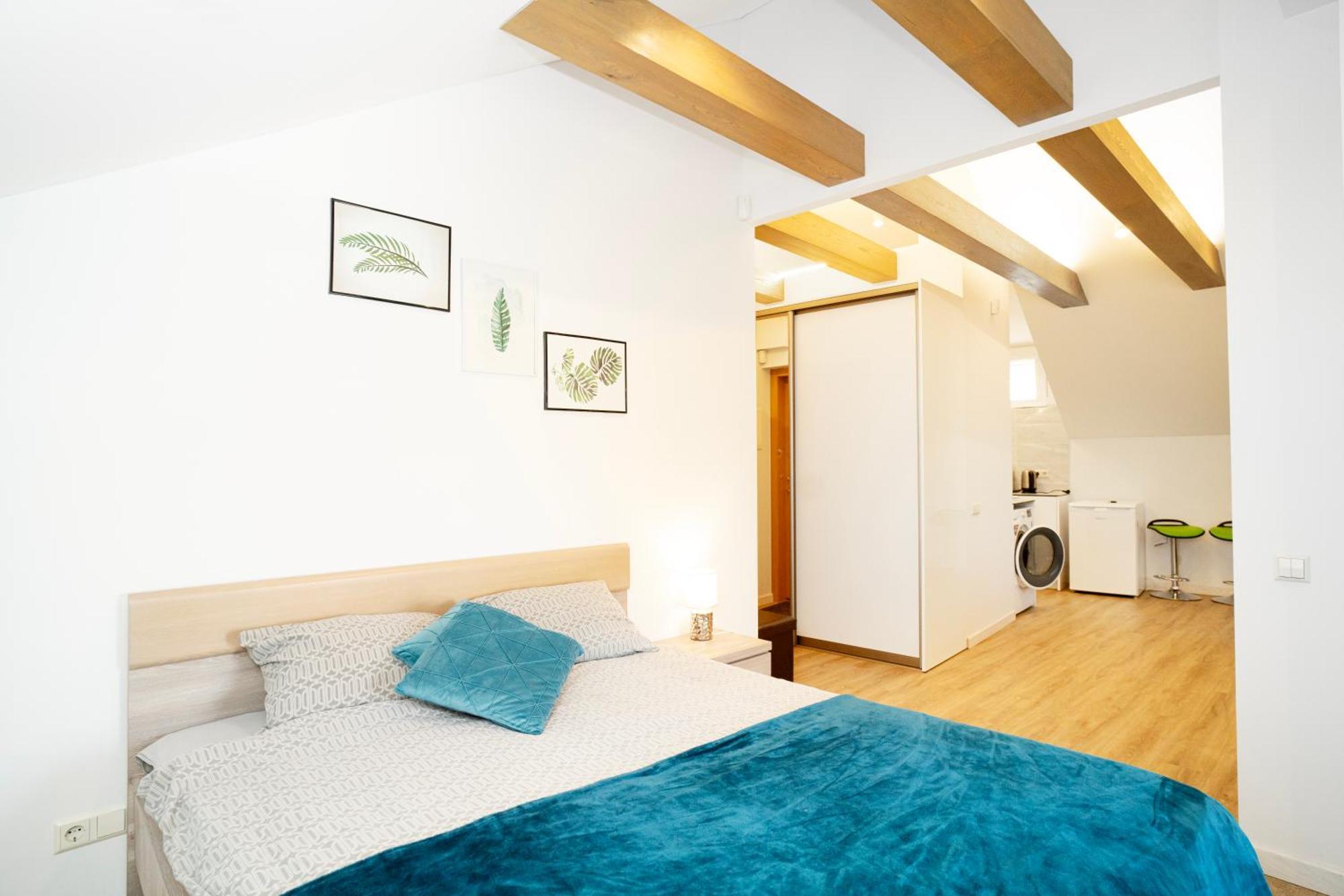 Kaunas Castle Apartments - Studio Kültér fotó