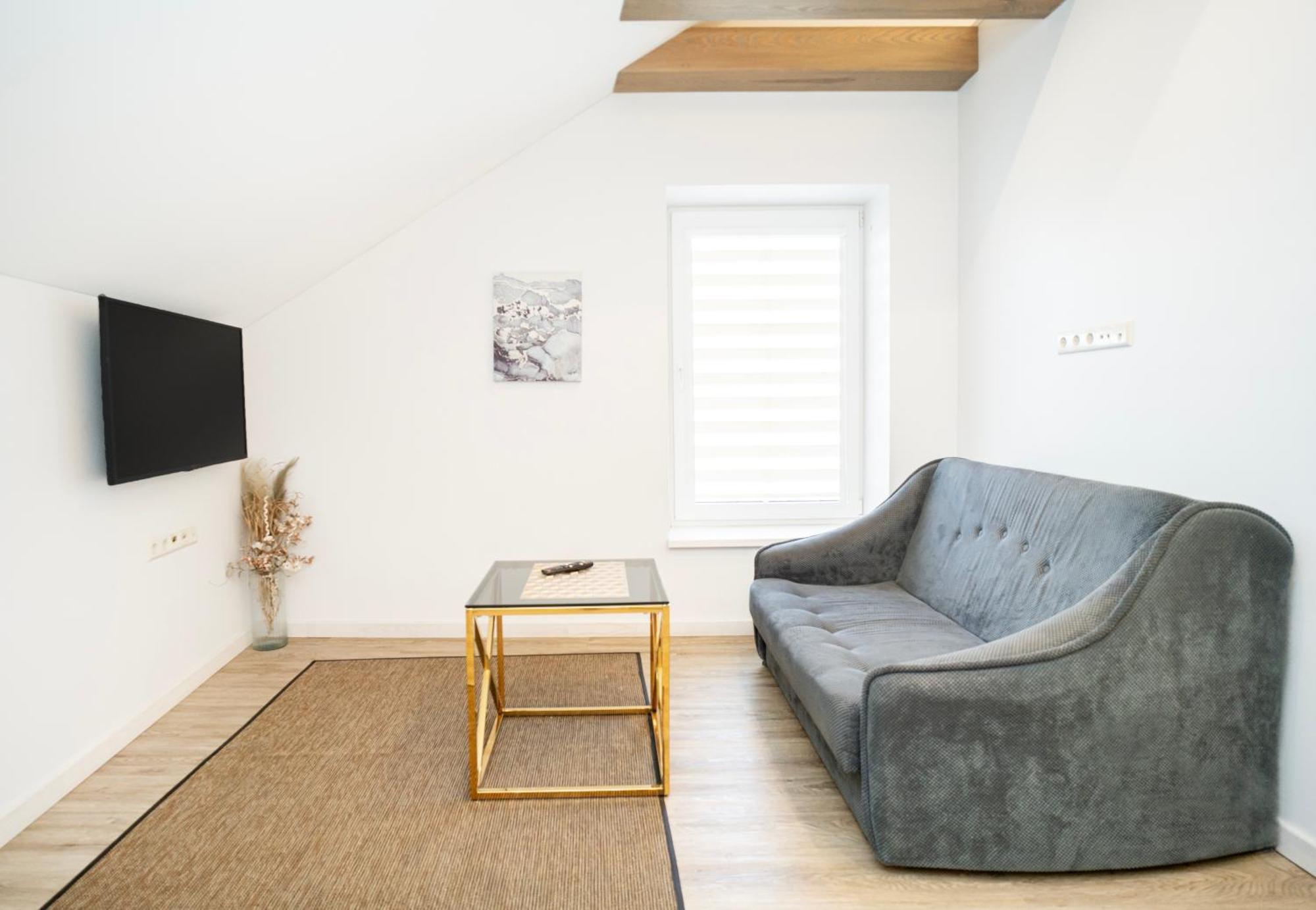 Kaunas Castle Apartments - Studio Kültér fotó